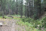 photo thumbnail #13
