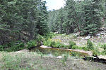 photo thumbnail #14