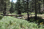 photo thumbnail #15