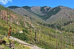 photo thumbnail #7