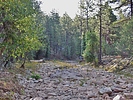 photo thumbnail #15
