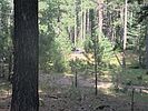 photo thumbnail #15