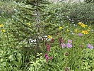 photo thumbnail #8