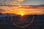 photo thumbnail #7