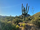 photo thumbnail #5