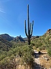 photo thumbnail #15