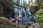 photo thumbnail #9
