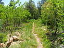 photo thumbnail #1