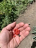 photo thumbnail #10