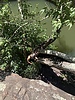 photo thumbnail #13