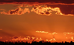 photo thumbnail #15
