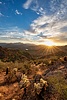 photo thumbnail #14