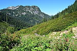 photo thumbnail #12