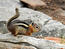 photo thumbnail #5