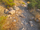 photo thumbnail #7