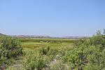 photo thumbnail #11