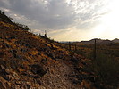 photo thumbnail #2
