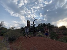 photo thumbnail #10