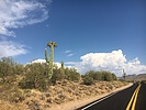 photo thumbnail #14