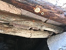 photo thumbnail #13