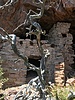 photo thumbnail #3