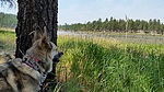 photo thumbnail #10