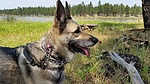 photo thumbnail #1