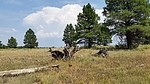 photo thumbnail #12