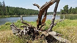 photo thumbnail #13