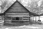 photo thumbnail #10