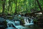 photo thumbnail #9