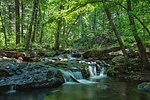 photo thumbnail #11