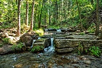 photo thumbnail #13