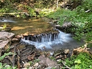 photo thumbnail #5
