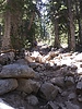 photo thumbnail #7
