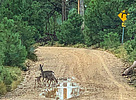 photo thumbnail #13