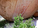 photo thumbnail #13