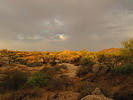 photo thumbnail #5