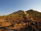 photo thumbnail #5