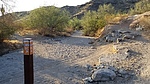 photo thumbnail #10