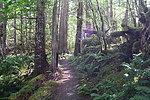 photo thumbnail #1