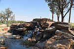 photo thumbnail #12