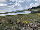photo thumbnail #12
