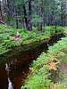 photo thumbnail #14