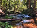 photo thumbnail #5