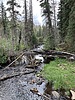 photo thumbnail #15