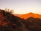 photo thumbnail #9
