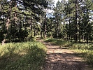 photo thumbnail #2
