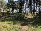 photo thumbnail #3