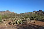 photo thumbnail #13